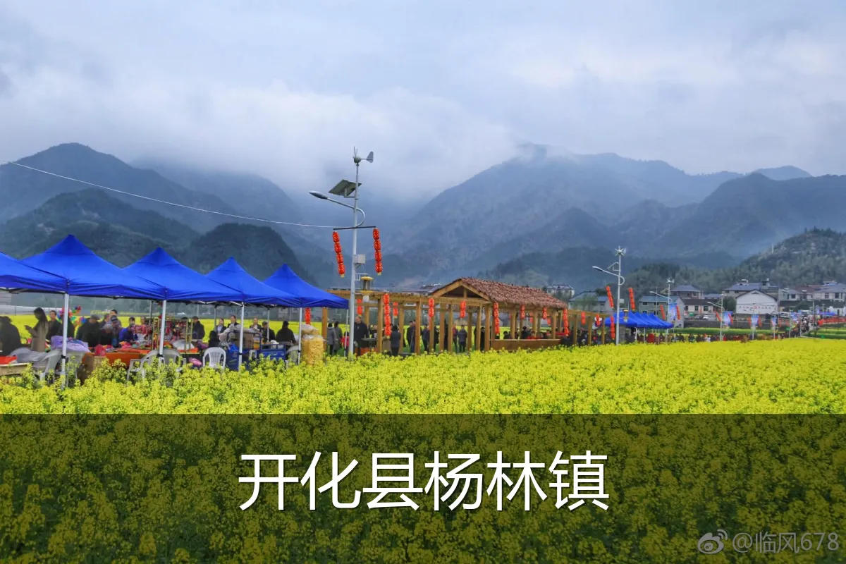 开化县杨林镇