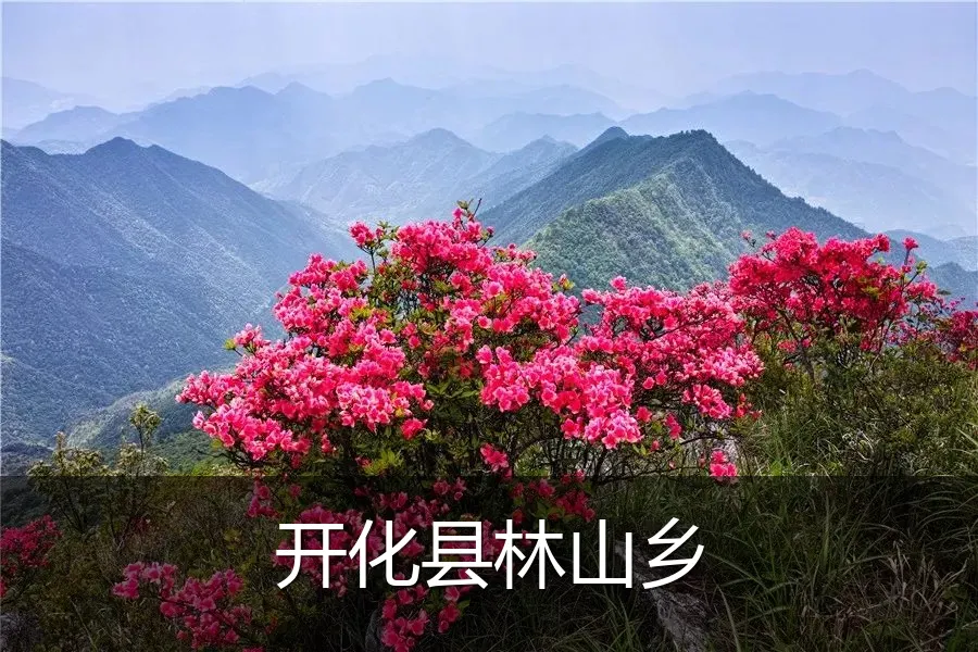 开化县林山乡